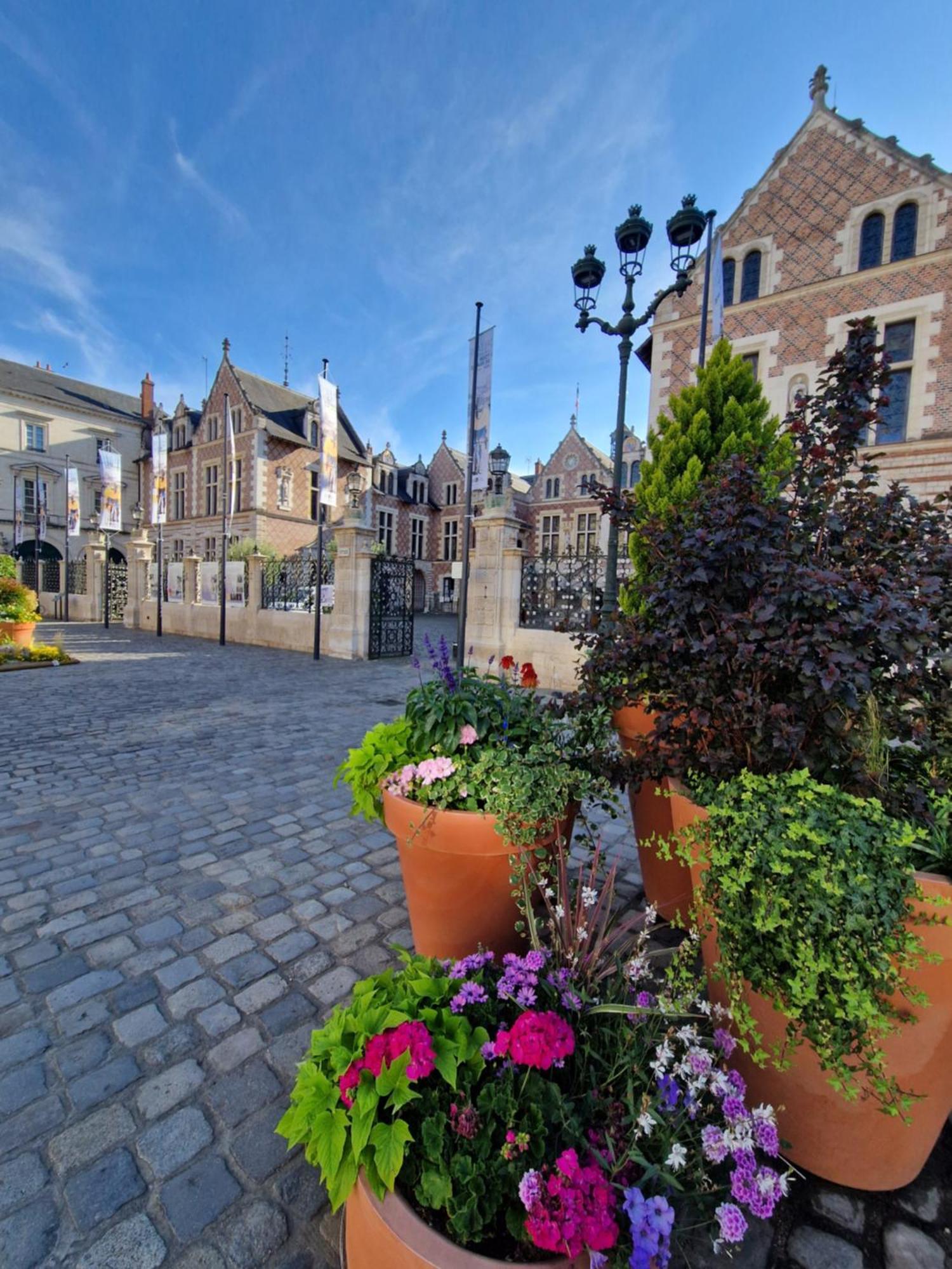 Bnb L'Orleanais Hyper Centre D'Orleans Proche Gare Parking Bagian luar foto